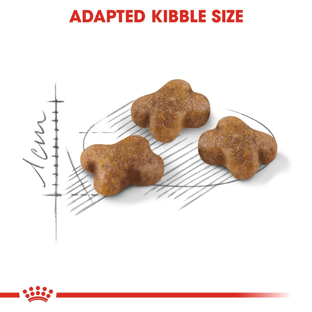 Royal Canin Feline Health Nutrition Kitten 10 kg