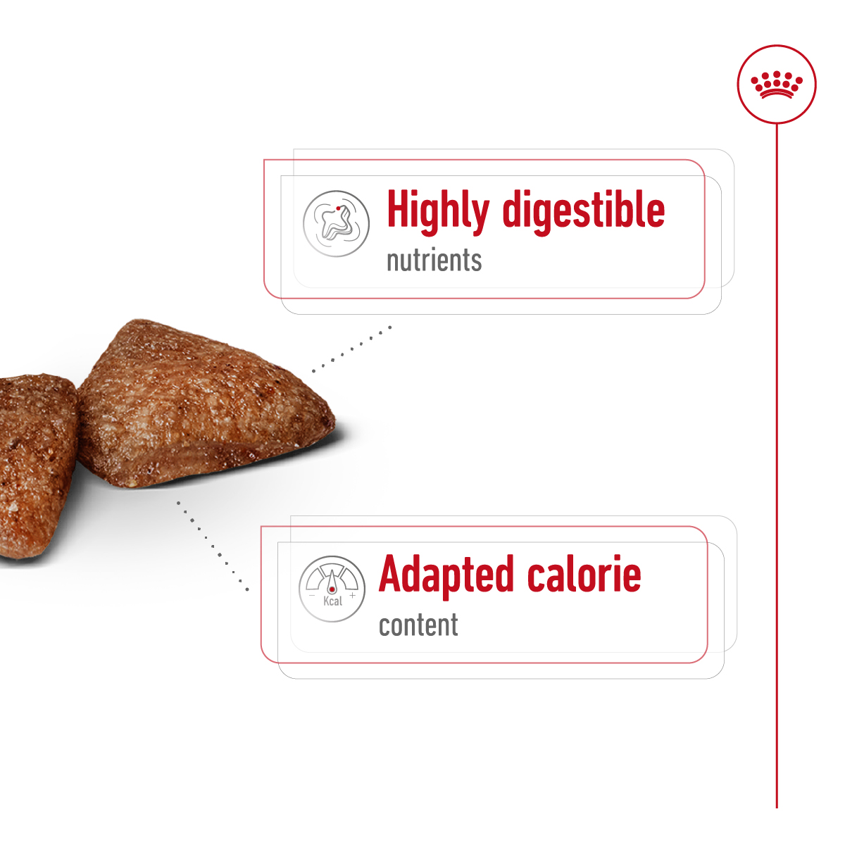 Royal Canin Size Health Nutrition Mini Indoor Adult 1.5 kg