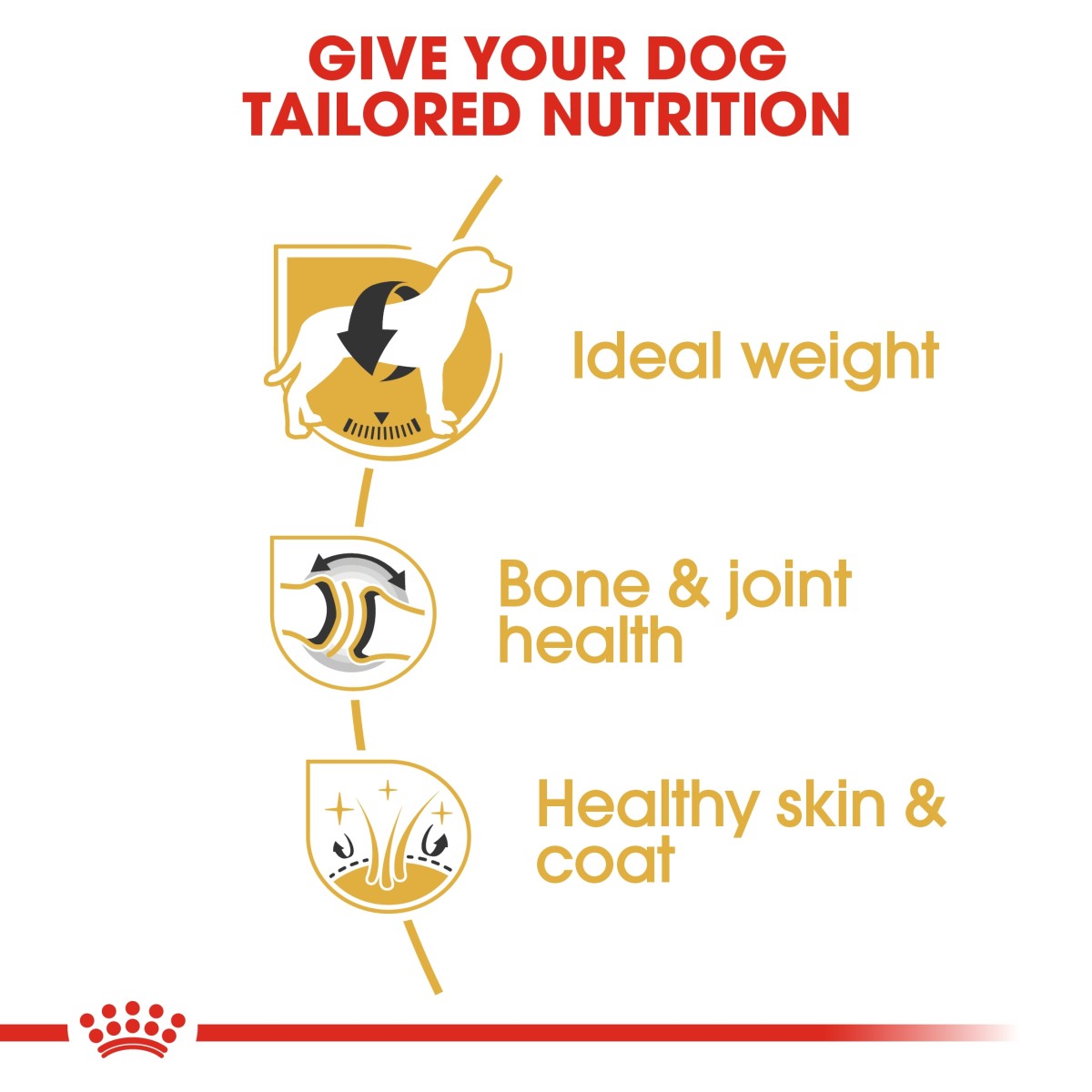 Royal Canin Breed Health Nutrition Labrador Adult 3 kg