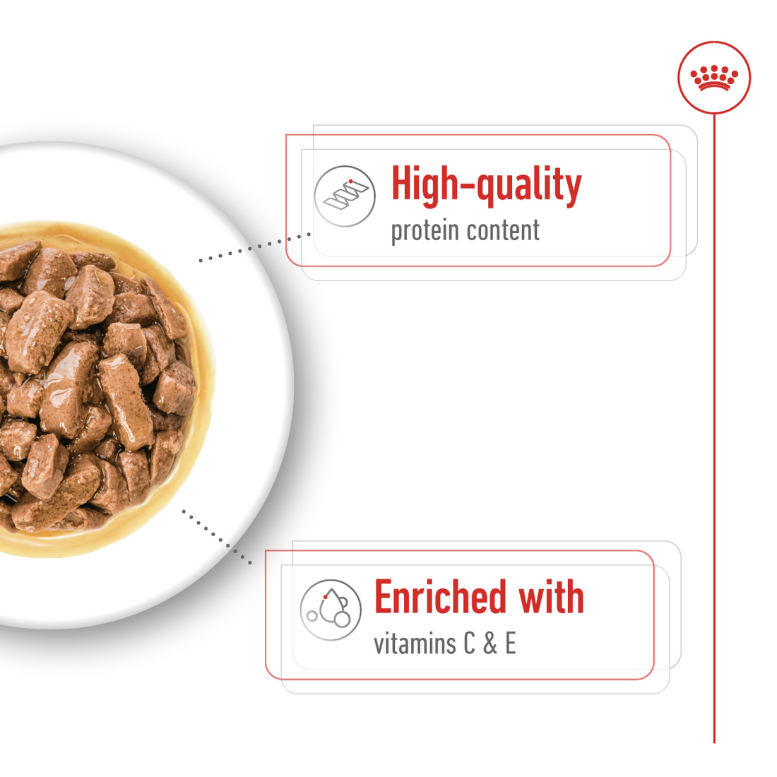 Royal Canin Size Health Nutrition Medium Adult (Wet Food - Pouches) 10 x 140 g