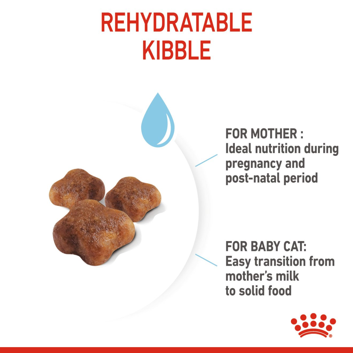 Royal Canin Feline Health Nutrition Mother and Babycat 400 g
