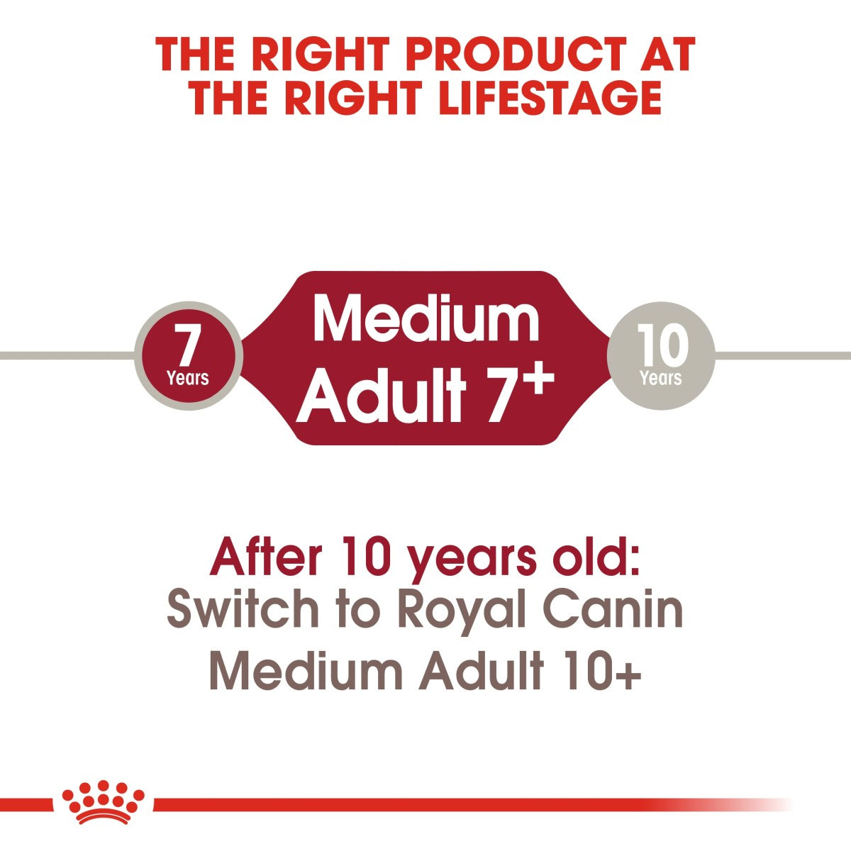 Royal Canin Size Health Nutrition Medium Ageing 10+ 3 kg