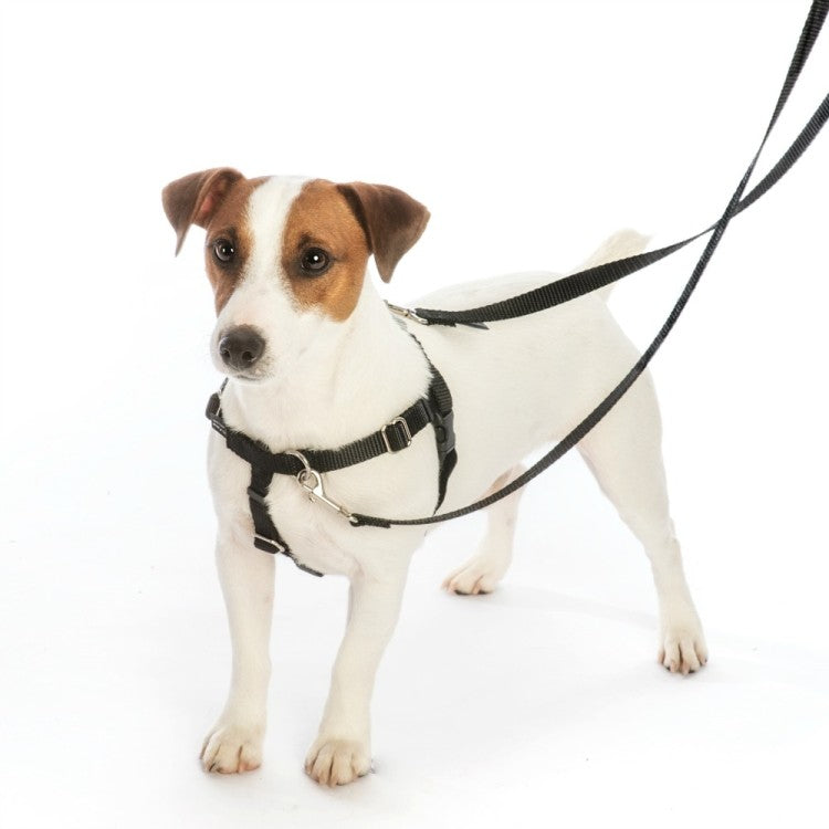 2 Hounds: Freedom No-Pull Harness and Leash - Black / Large 1"