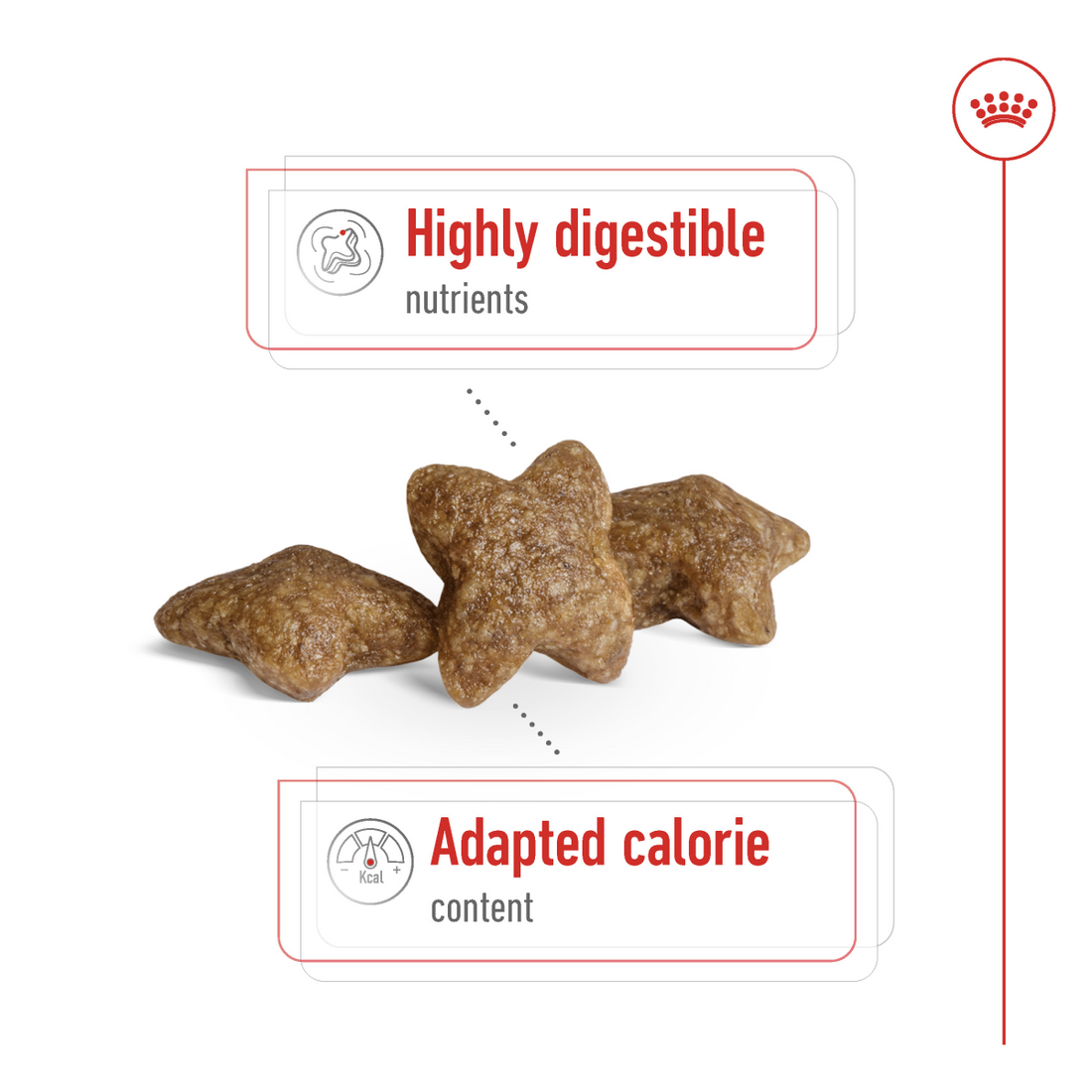 Royal Canin Size Health Nutrition Mini Adult 2 kg
