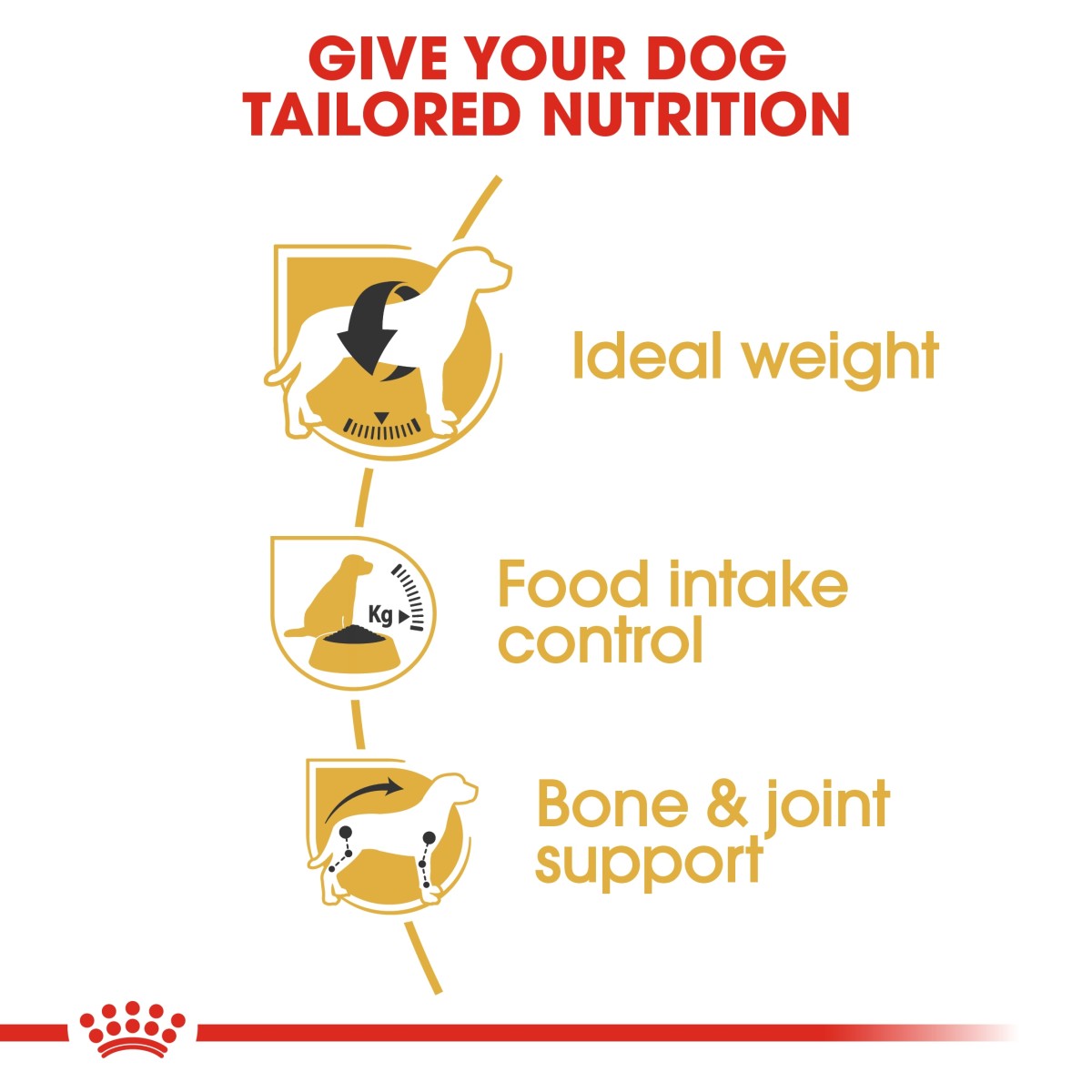 Royal Canin: Breed Health Nutrition Beagle Adult 3 kg