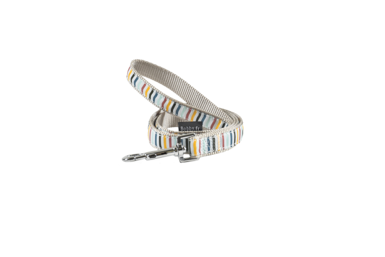 Nala Leash Grey, Small