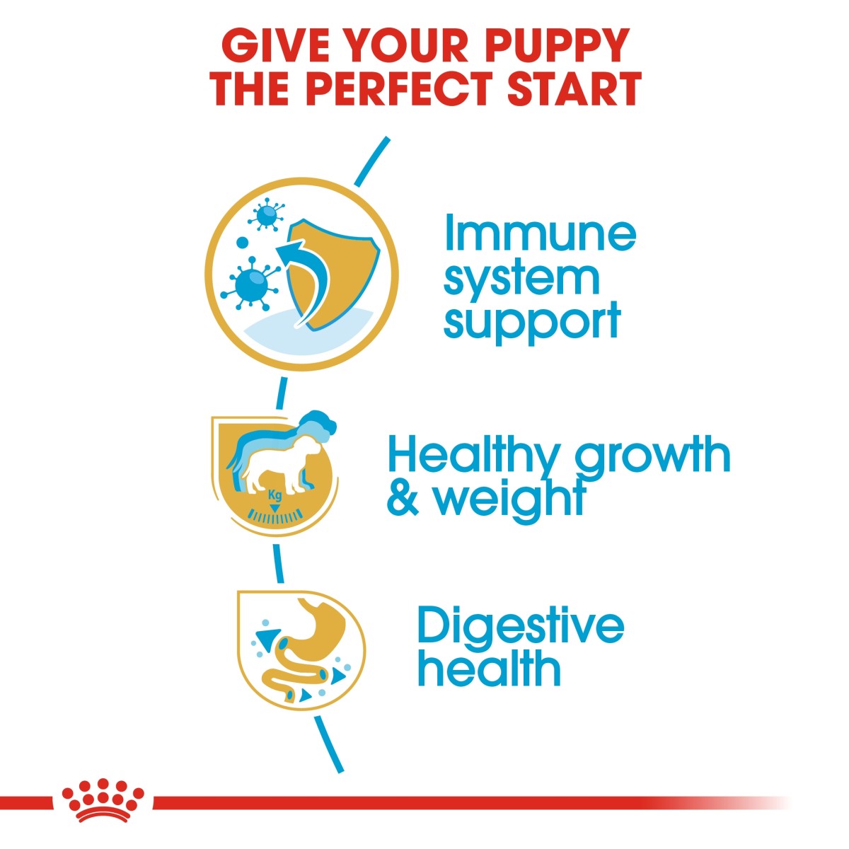 Royal Canin Breed Health Nutrition Labrador Puppy 12 kg