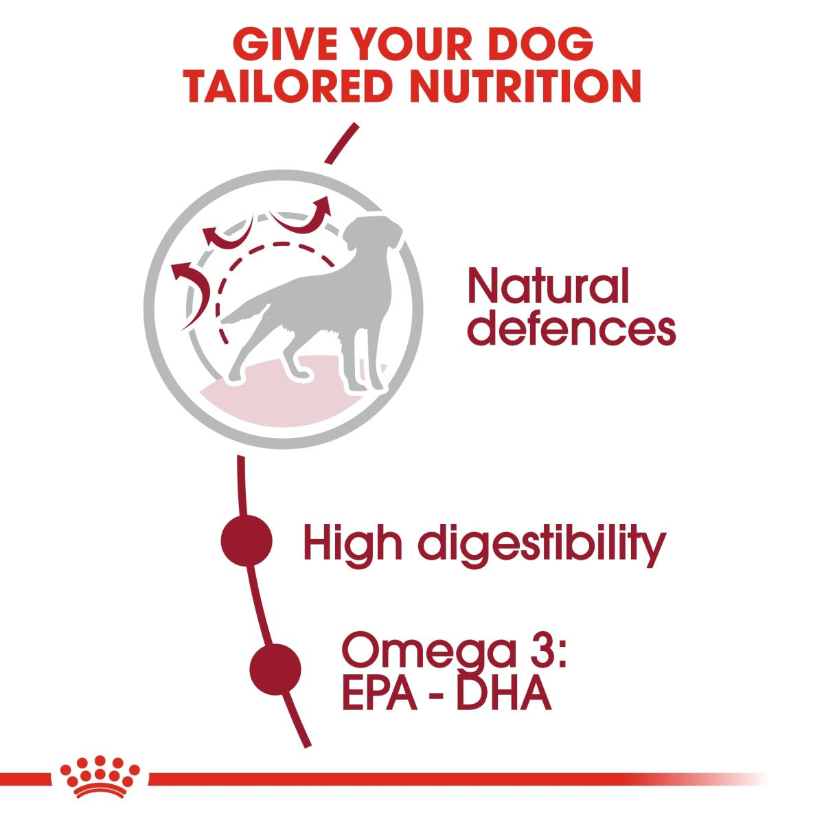 Royal Canin Size Health Nutrition Medium Adult 1 kg