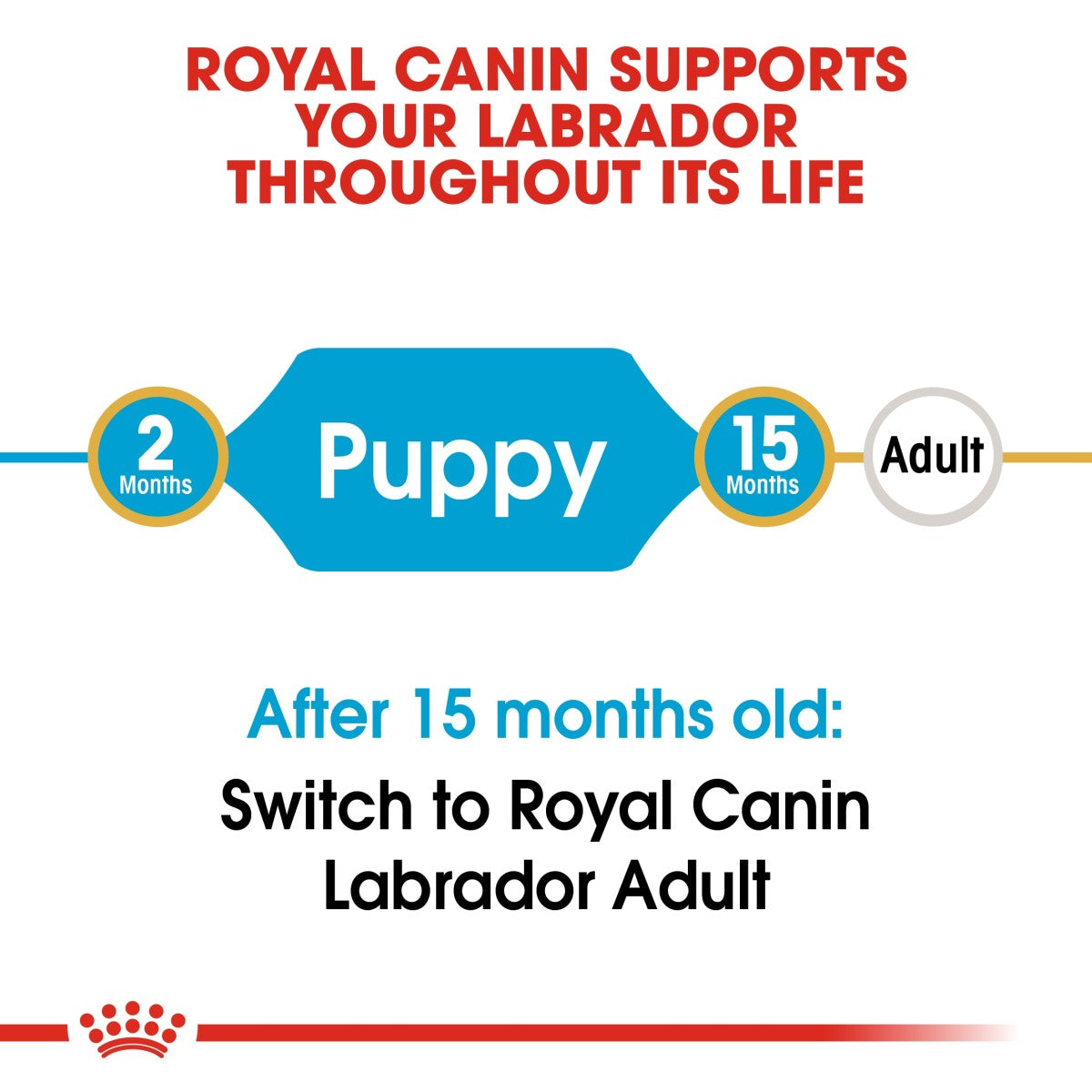 Royal Canin Breed Health Nutrition Labrador Puppy 12 kg