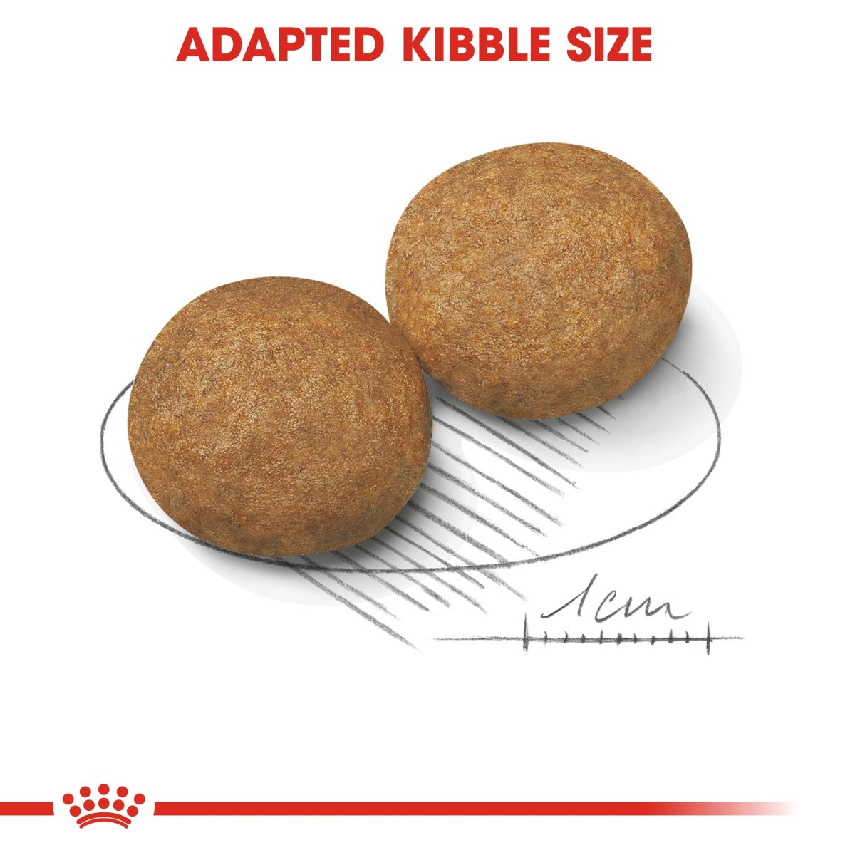Royal Canin Size Health Nutrition Medium Adult 4 kg