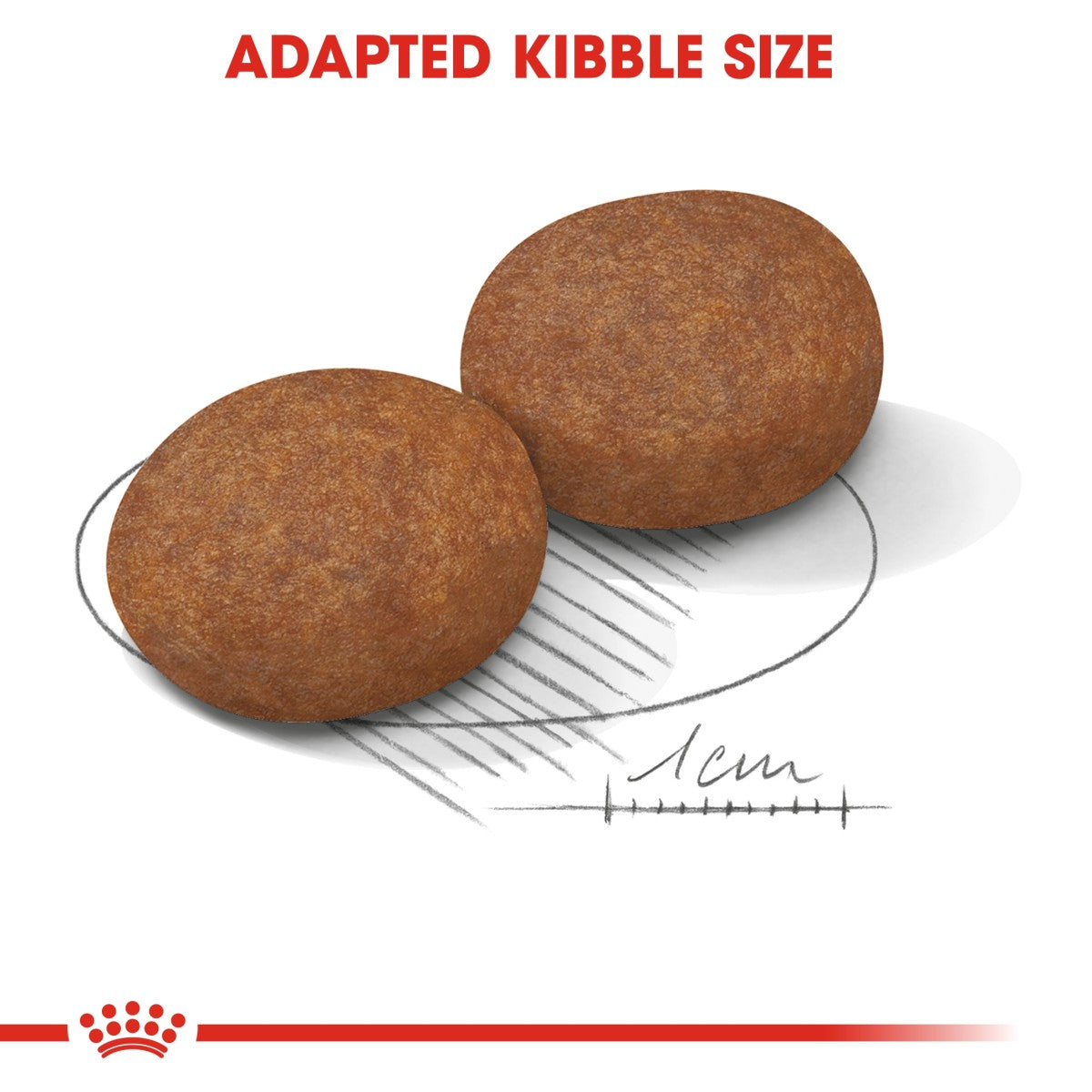 Royal Canin Size Health Nutrition Medium Ageing 10+ 3 kg