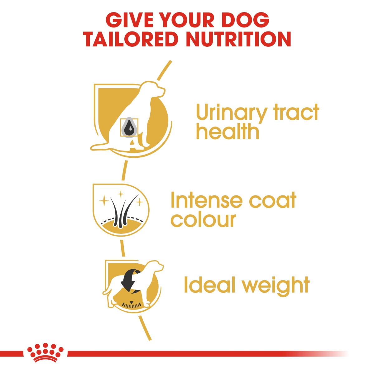 Royal Canin Breed Health Nutrition Miniature Schnauzer Adult 3 kg