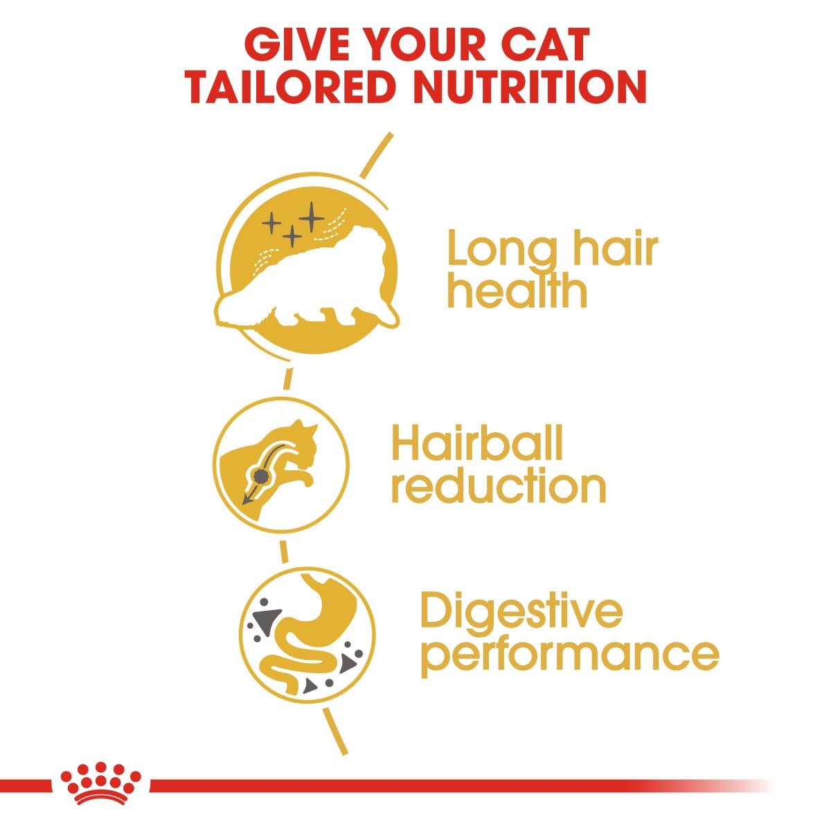 Royal Canin Feline Breed Nutrition Persian Adult 10 kg