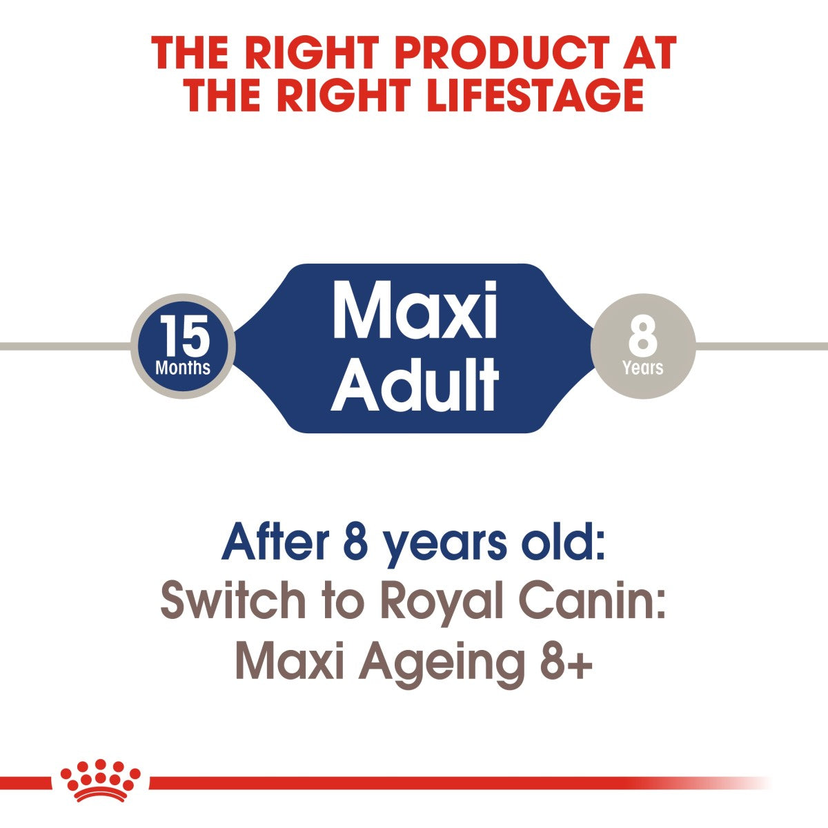 Royal Canin Size Health Nutrition Maxi Adult (Wet Food - Pouches) 10 x 140 g