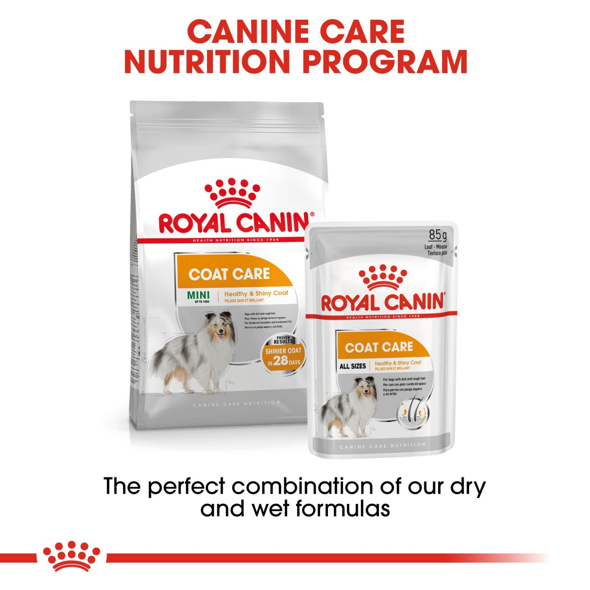 Royal Canin Canine Care Nutrition Coat Care (Wet Food - Pouches) 12 x 85 g