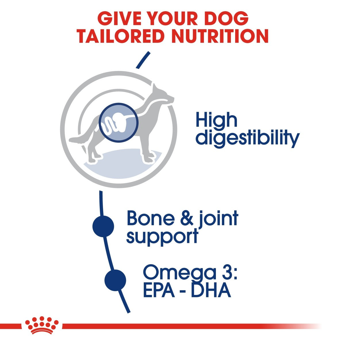 Royal Canin Size Health Nutrition Maxi Adult 1 kg