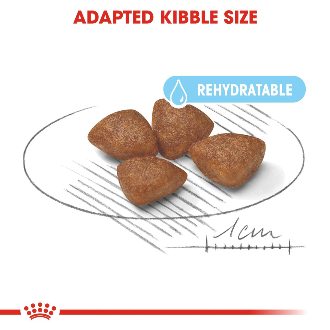 Royal Canin Size Health Nutrition Mini Starter 1 kg