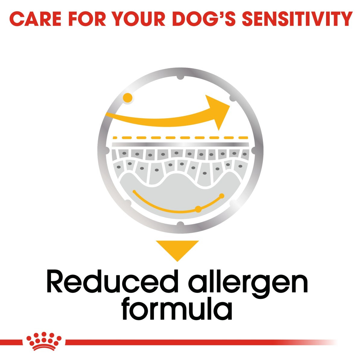 Royal Canin Canine Care Nutrition Dermacomfort (Wet Food - Pouches) 12 x 85 g