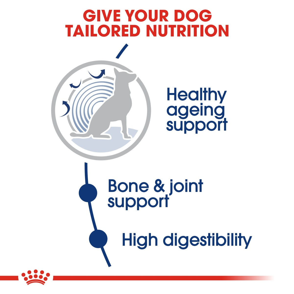 Royal Canin Size Health Nutrition Maxi Ageing 8+ 15 kg