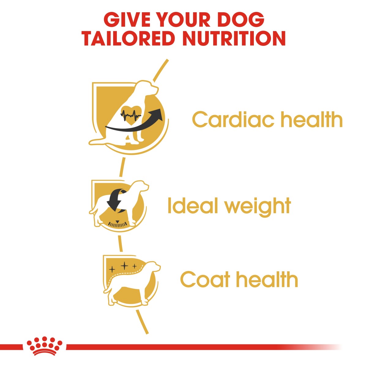 Royal Canin: Breed Health Nutrition Cavalier King Charles Adult 1.5 kg