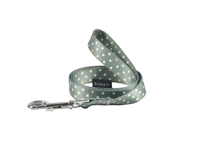 Pretty Leash Green, Large