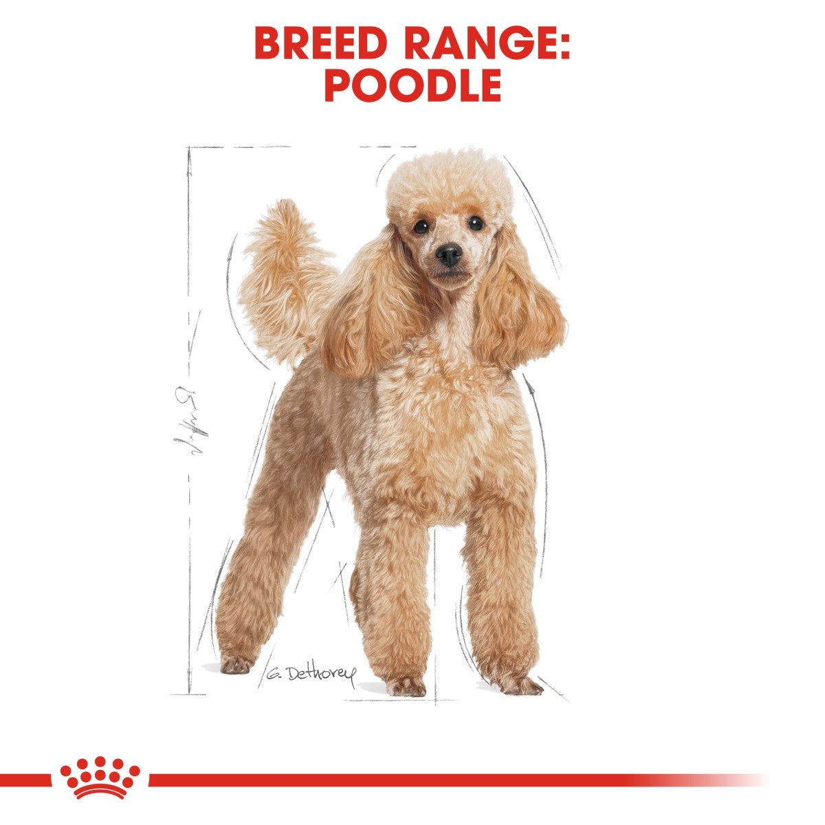 Royal Canin Breed Health Nutrition Poodle Adult 1.5 kg