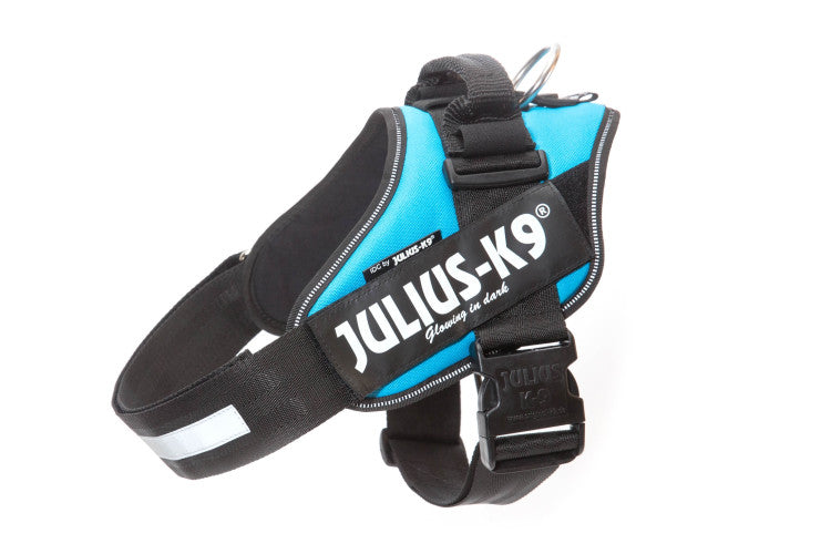 IDC Powerharness Aquamarine Size 2
