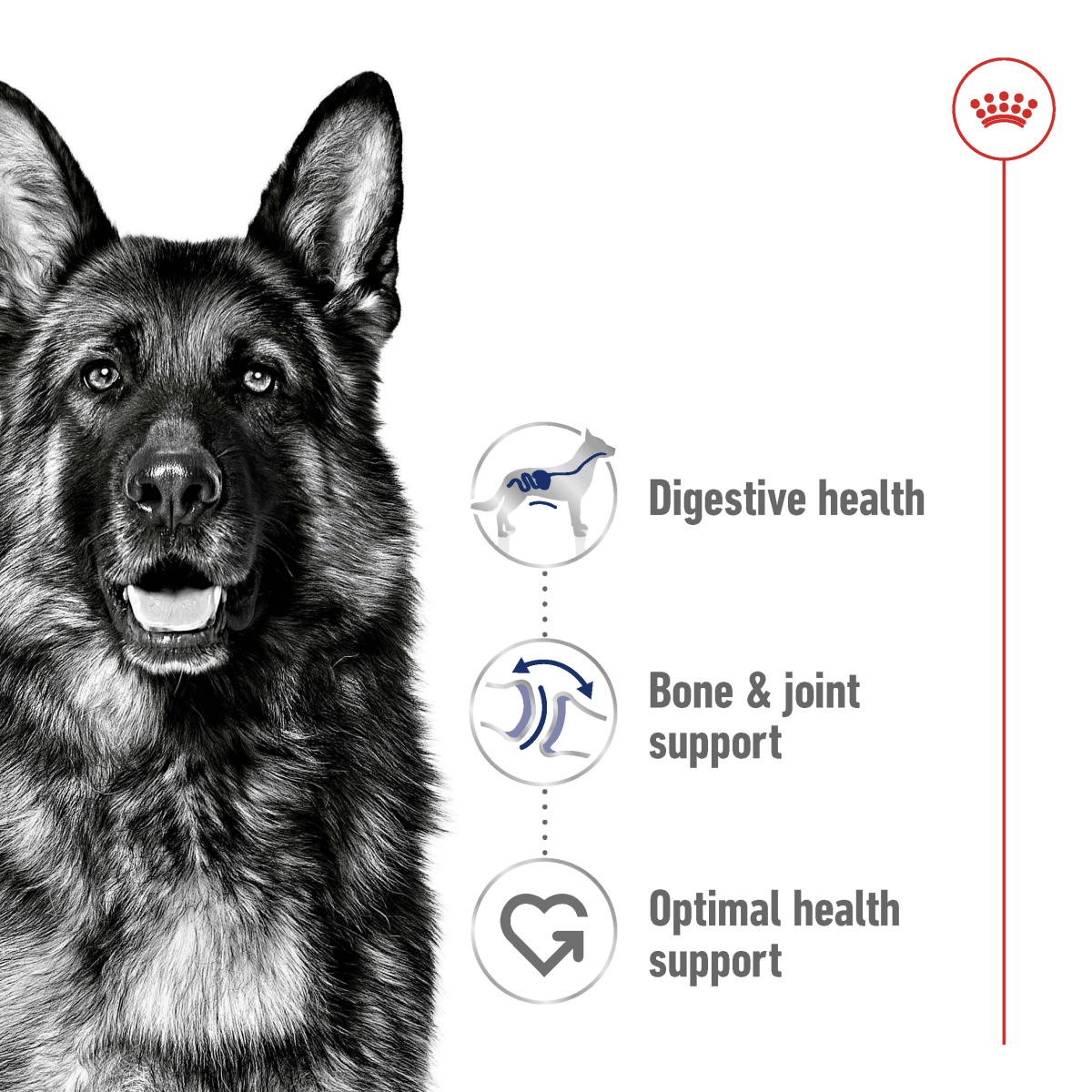 Royal Canin Size Health Nutrition Maxi Adult 15 kg