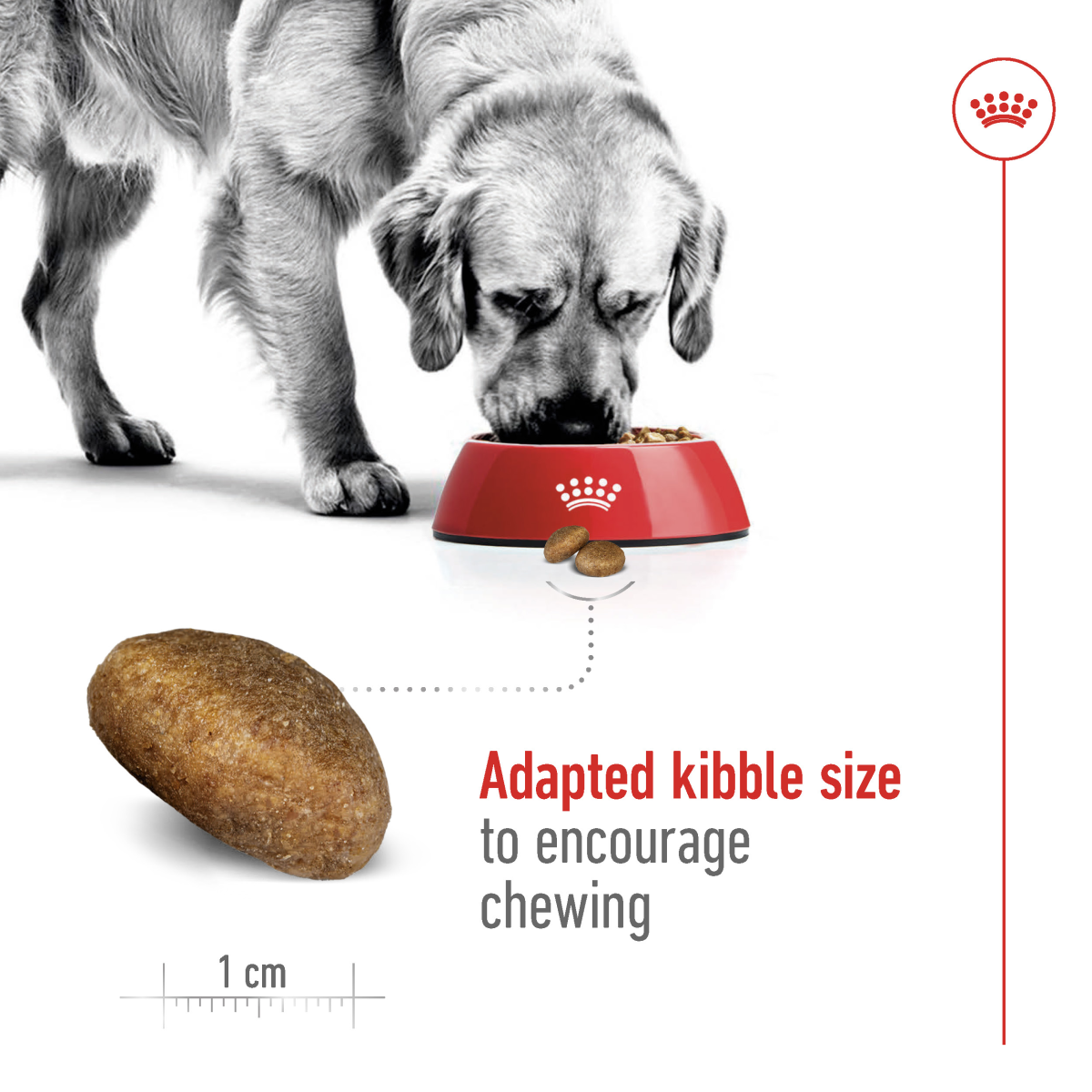 Royal Canin Size Health Nutrition Maxi Adult 15 kg