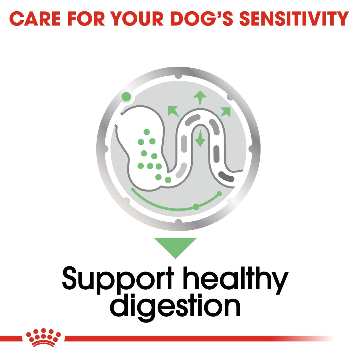 Royal Canin Canine Care Nutrition Digestive Care (Wet Food - Pouches) 12 x 85 g