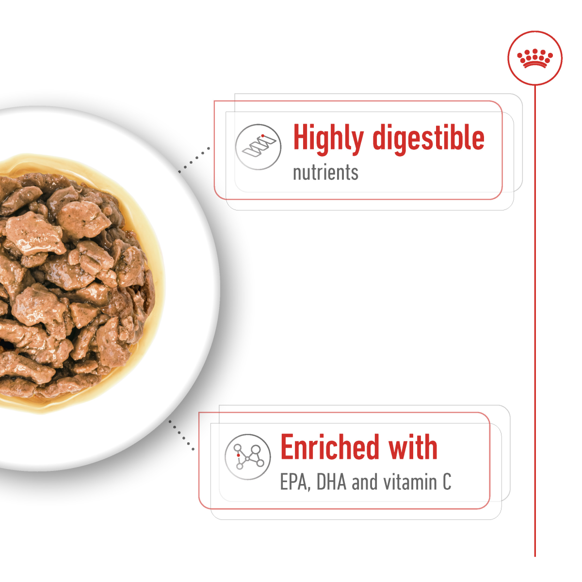 Royal Canin Size Health Nutrition XS Adult (Wet Food - Pouches) 12 x 85 g