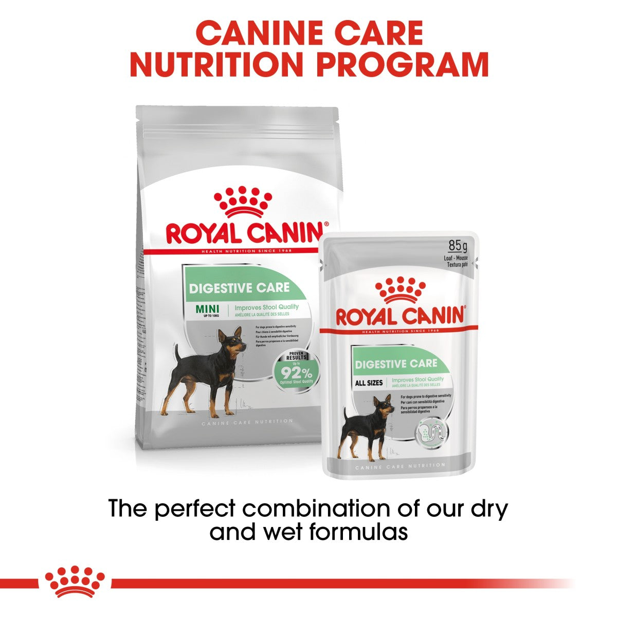 Royal Canin Canine Care Nutrition Digestive Care (Wet Food - Pouches) 12 x 85 g