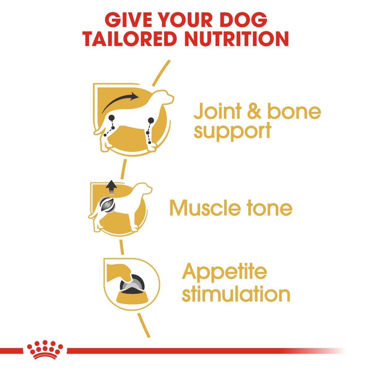 Royal Canin Breed Health Nutrition Dachshund Adult (Wet Food - Pouches) 12 x 85 g