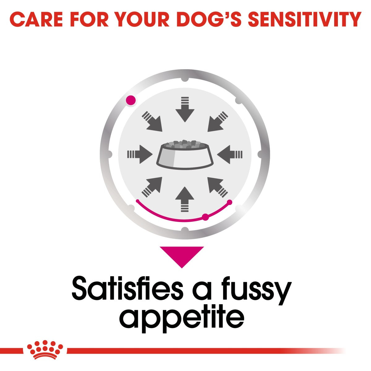 Royal Canin Canine Care Nutrition Exigent (Wet Food- Pouches) 12 x 85 g