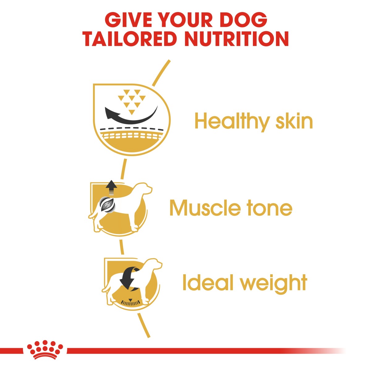 Royal Canin Breed Health Nutrition Pug Adult 1.5 kg