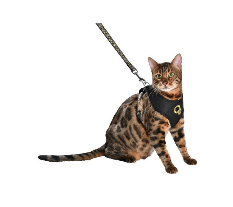 Bobby Chamane Harness & Lead Black, Medium