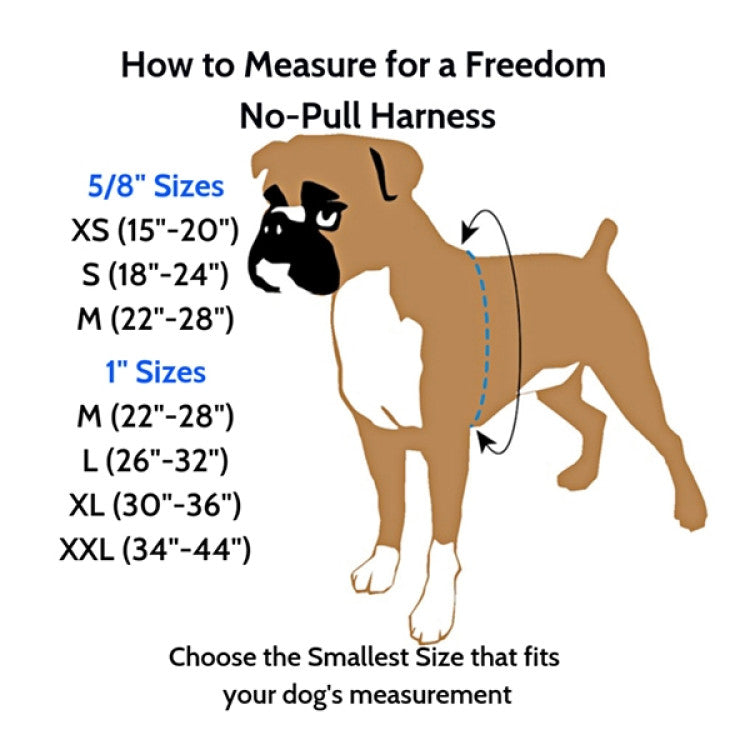 2 Hounds : Freedom No-Pull Harness and Leash - Red / XL 1"