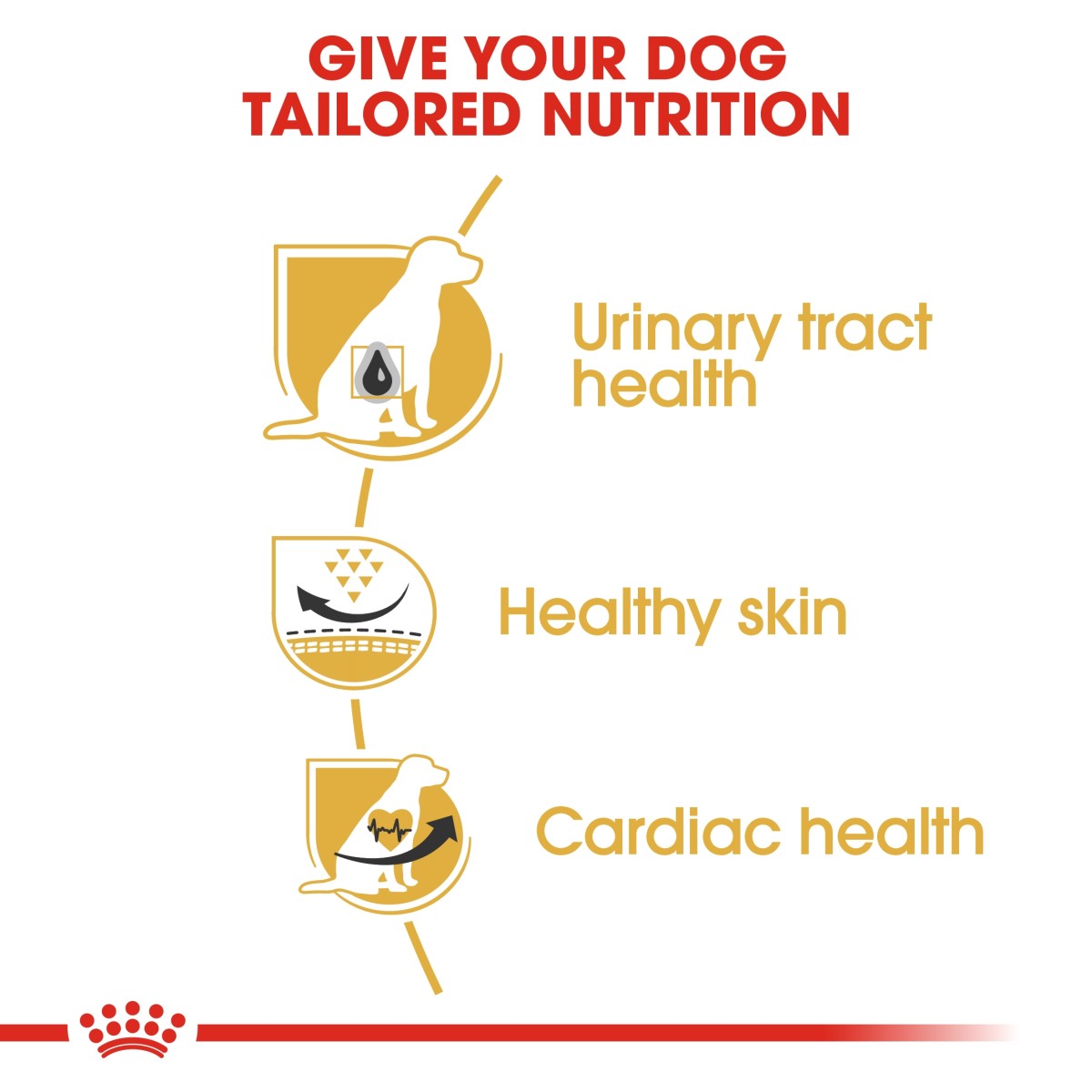 Royal Canin Breed Health Nutrition Dalmatian Adult 12 kg