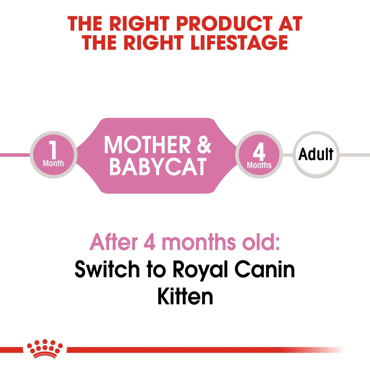 Royal Canin Feline Health Nutrition Mother & Babycat Mousse (Wet Food - Cans) 12 x 195 g