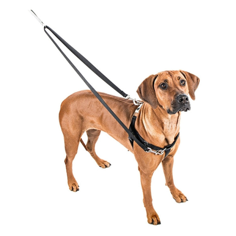 2 Hounds : Freedom No-Pull Harness and Leash - Red / XS 5/8"
