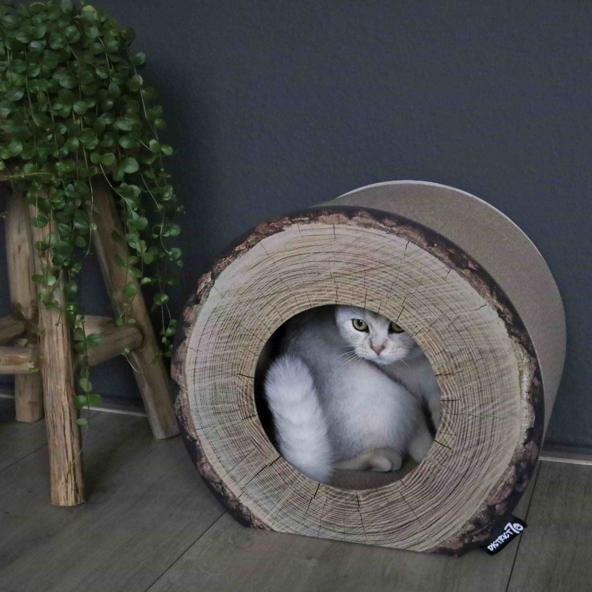 District 70 Trunk Cardboard Cat Scratcher