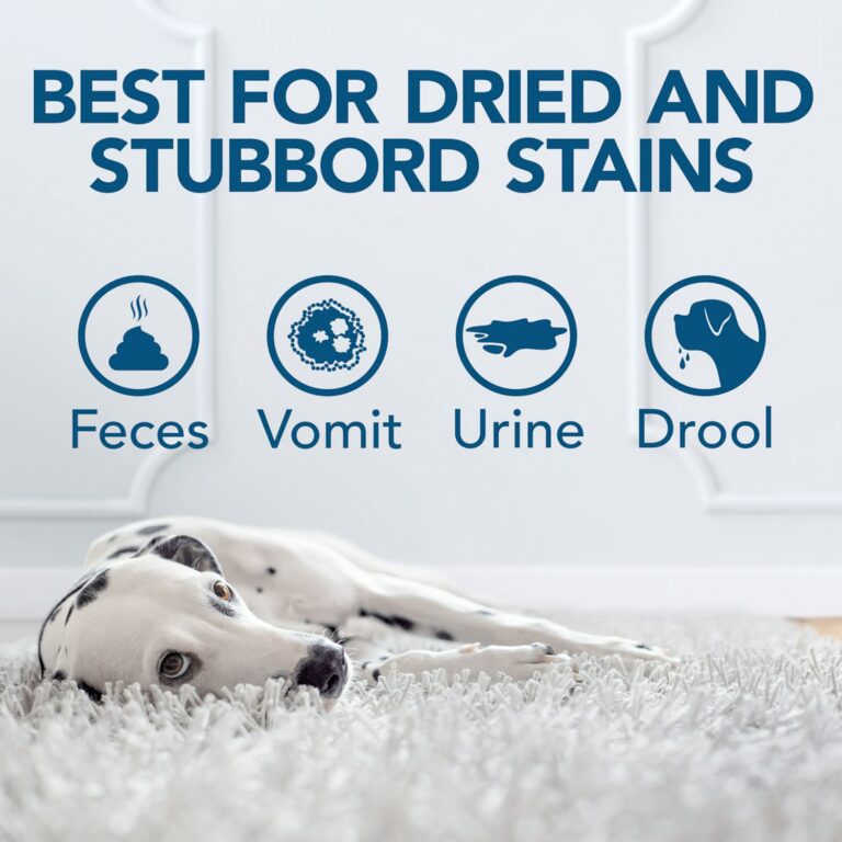 Simple Solution Oxy Charged Pet Stain and Odor Remover – 945ml