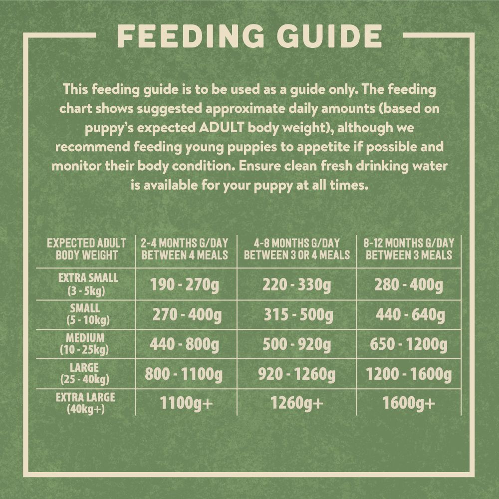 Harringtons Chicken & Potato Grain Free Wet Puppy Food 380g
