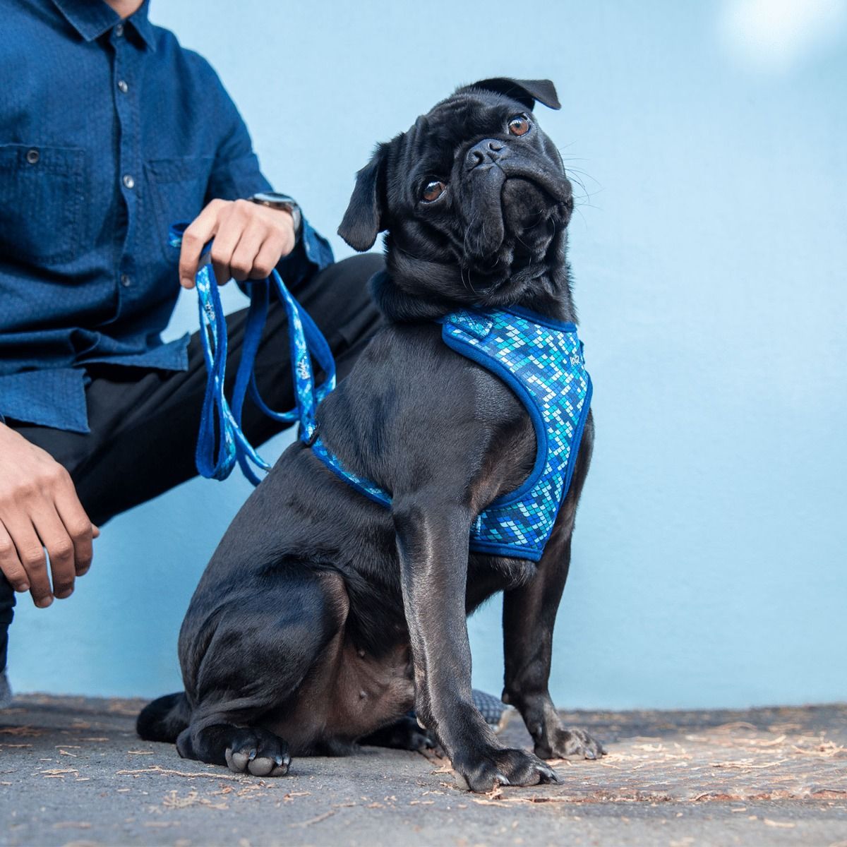 Rogz Fashion Dog Harness