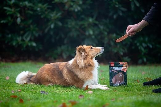 Pets Unlimited Salmon Filet Strips Large Dog Treats 150g