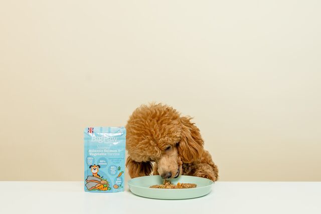 Little BigPaw Steamed Atlantic Salmon & Vegetables Dinner Wet Dog Food 150g
