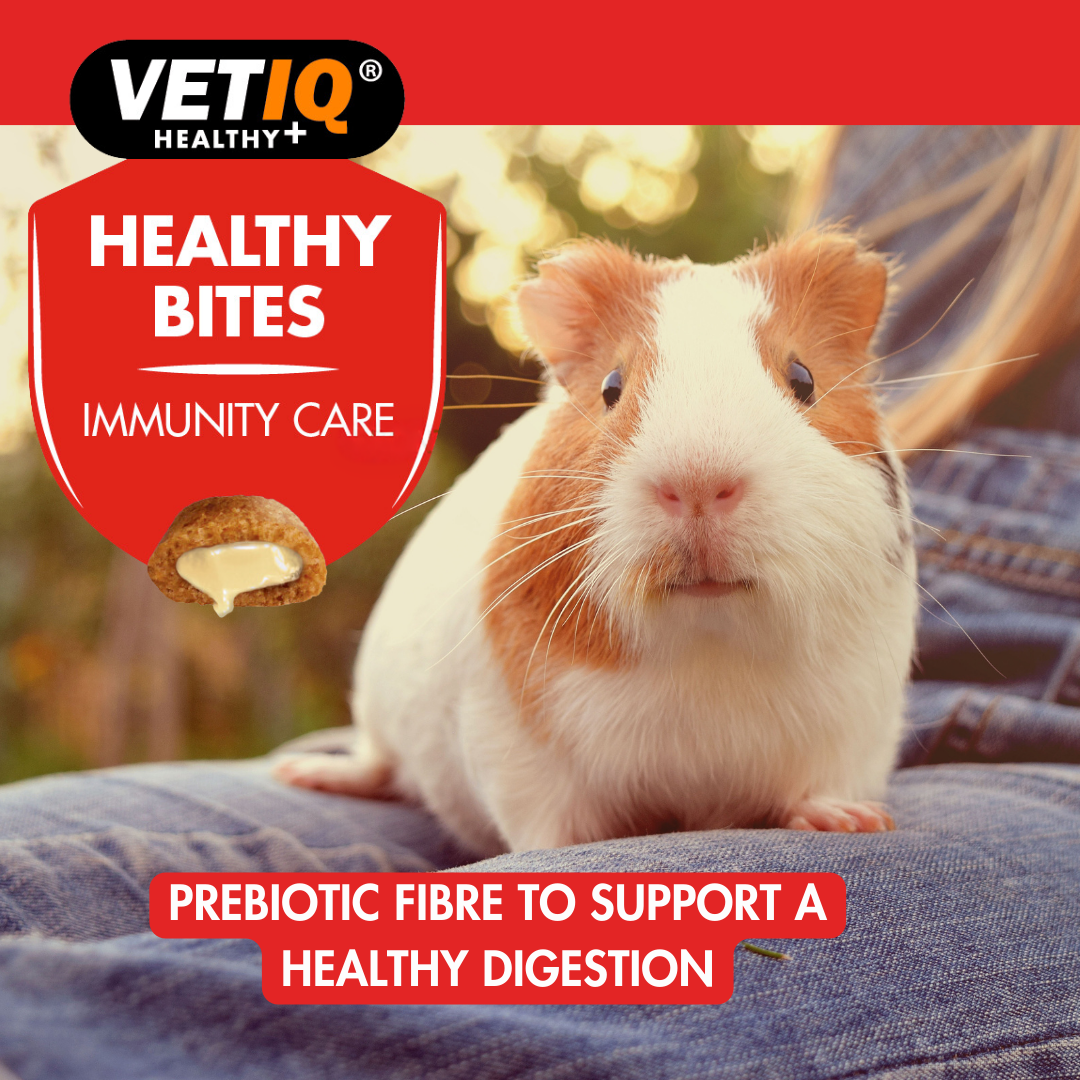 VetIQ Healthy Bites Immunity Care Small Animal Treats 30g