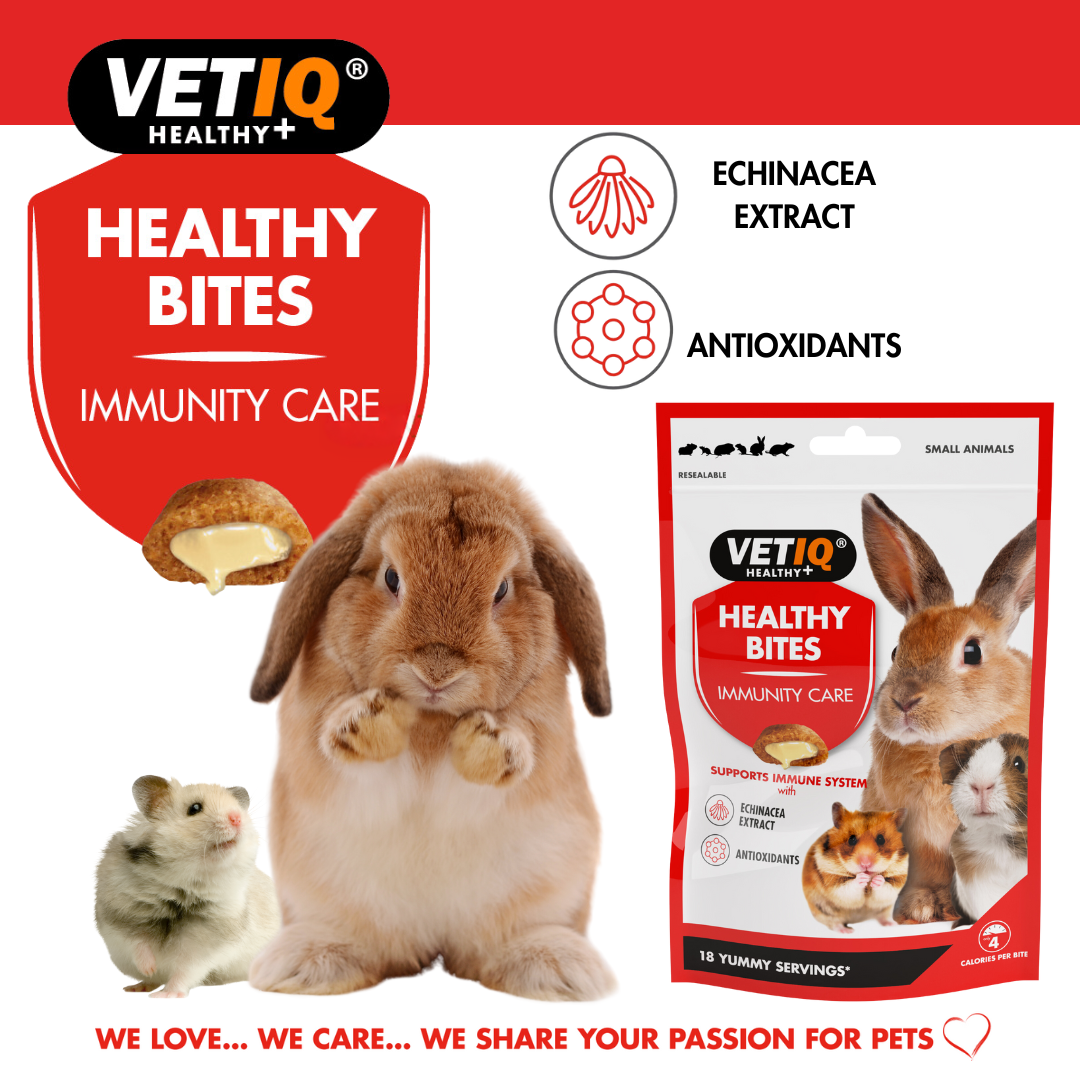 VetIQ Healthy Bites Immunity Care Small Animal Treats 30g