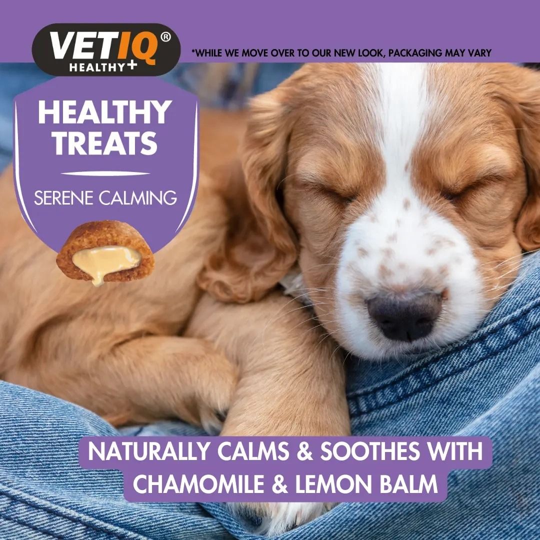 VetIQ Healthy Treats Serene Calming Dog Treats