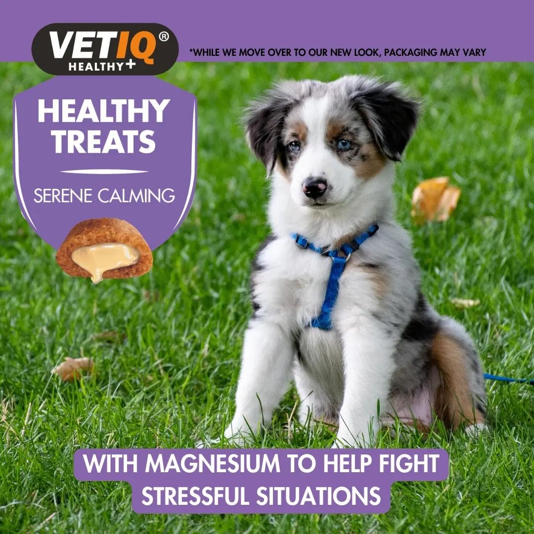 VetIQ Healthy Treats Serene Calming Dog Treats